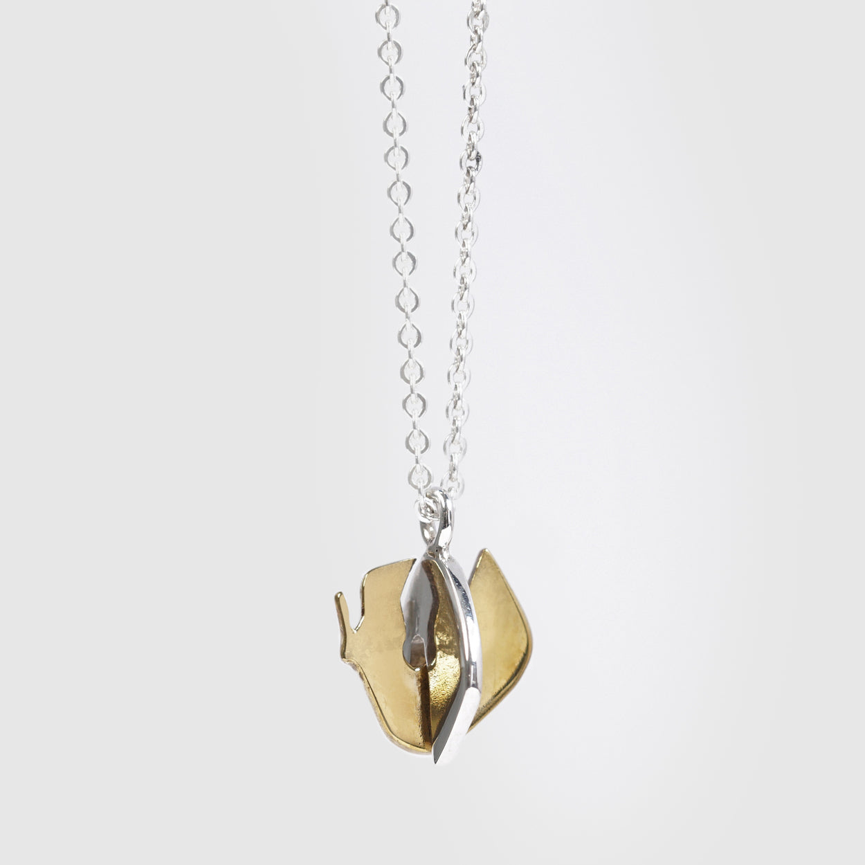 SERFIN NECKLACE - STERLING SILVER AND BRASS